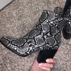Women’s Steve Madden Snakeskin Booties